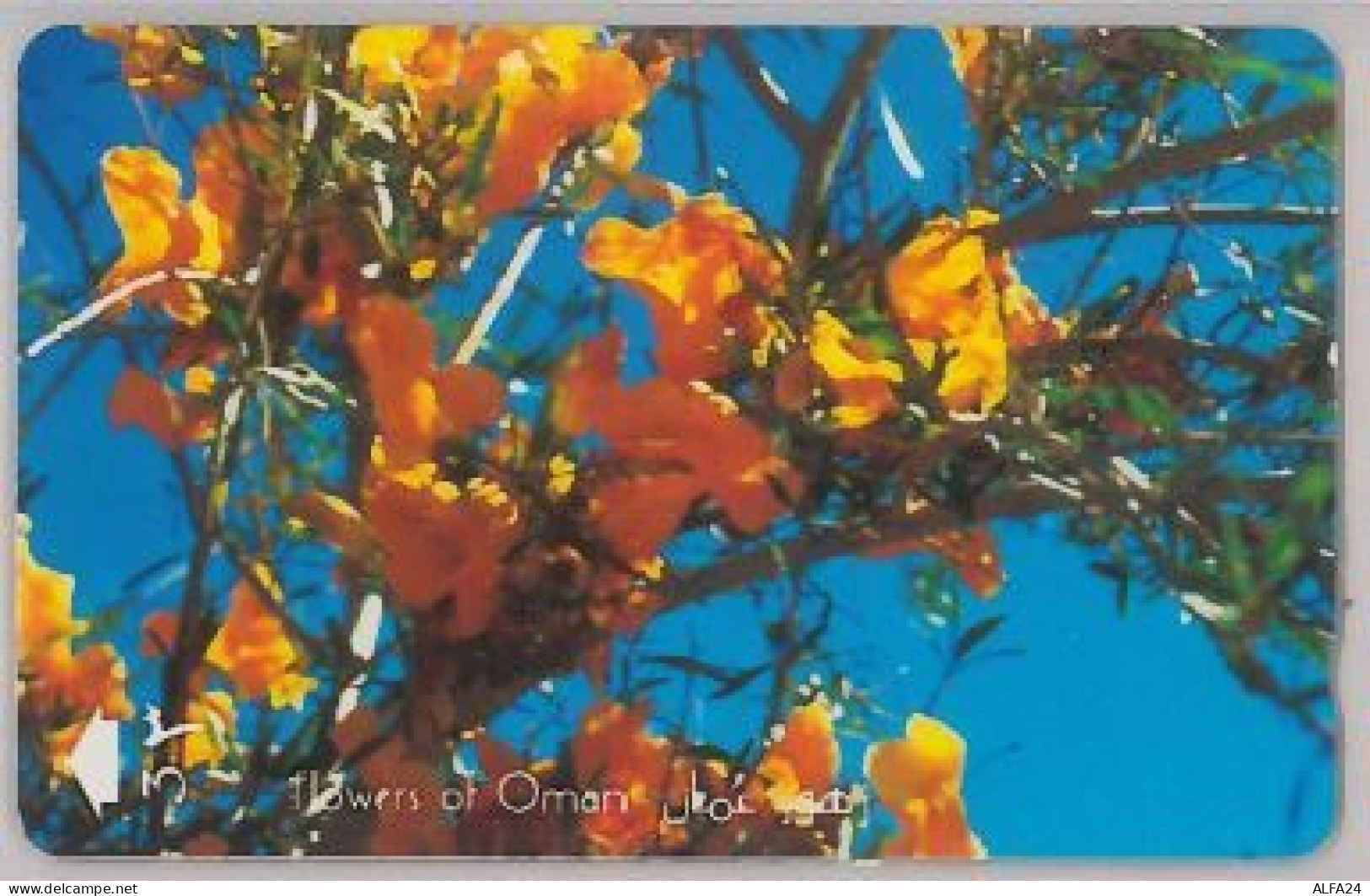PHONE CARD - OMAN (E44.5.1 - Oman