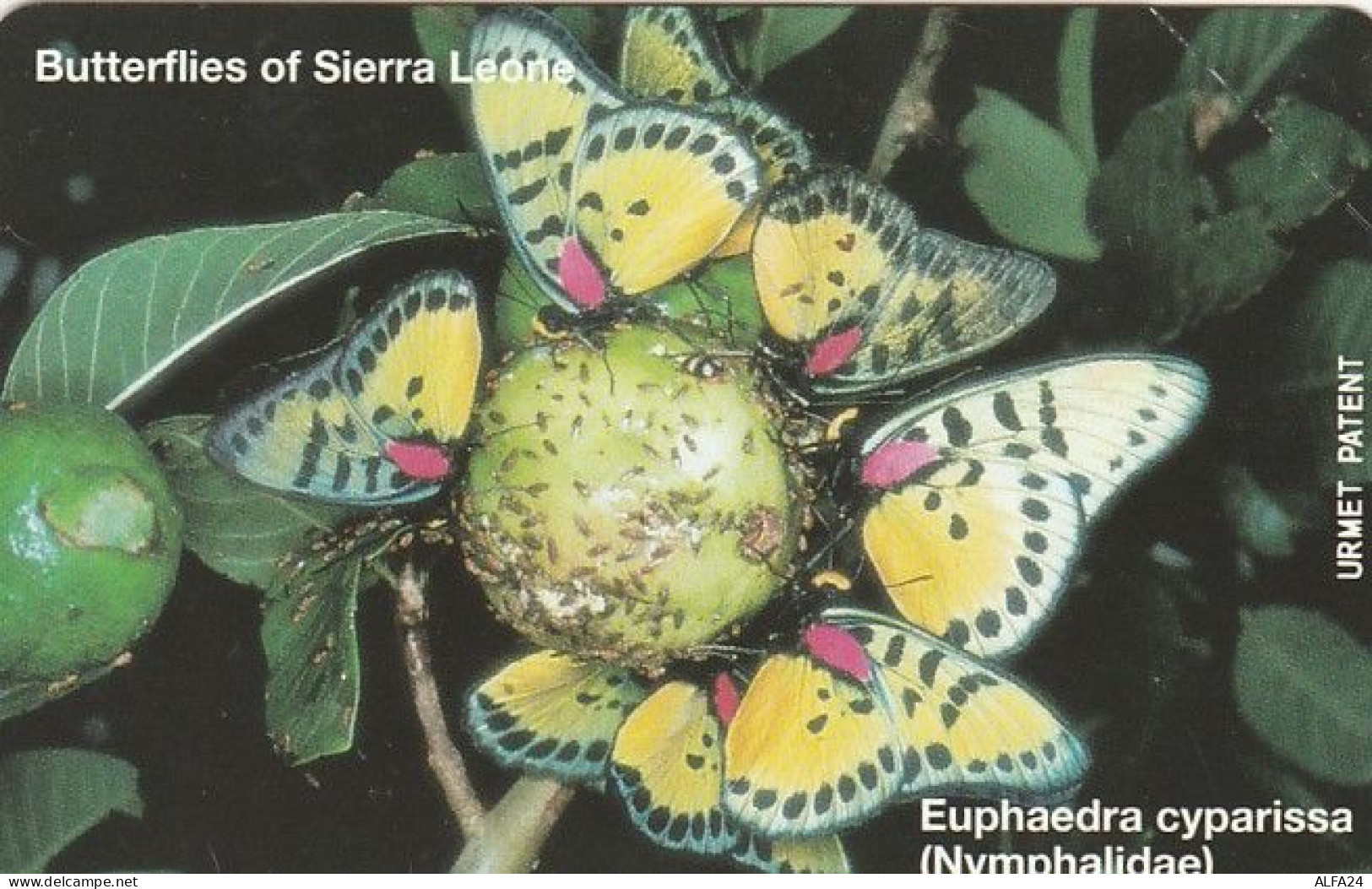 PHONE CARD -URMET SIERRA LEONE (E43.52.8 - Sierra Leone