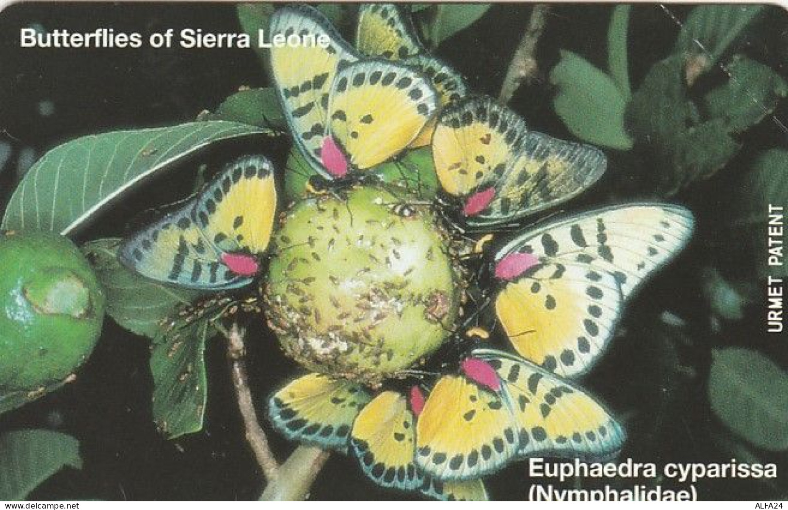 PHONE CARD -URMET SIERRA LEONE (E43.52.8 - Sierra Leona