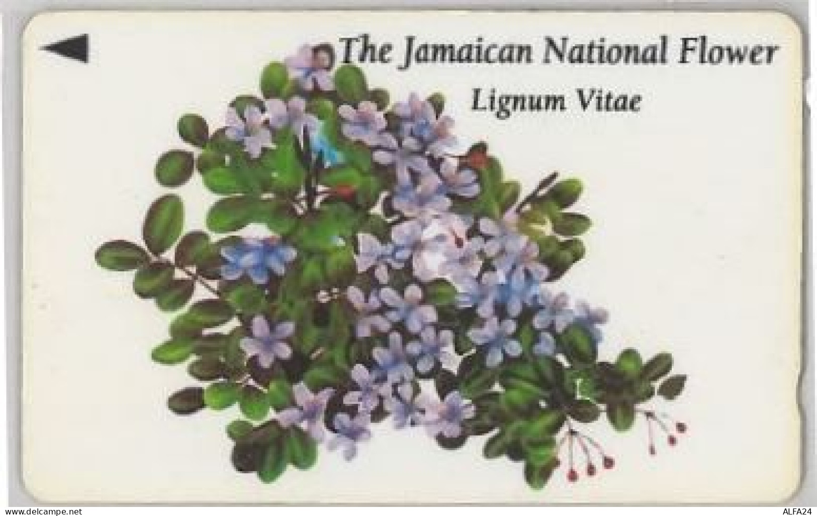 PHONE CARD-JAMAICA (E47.37.7 - Giamaica