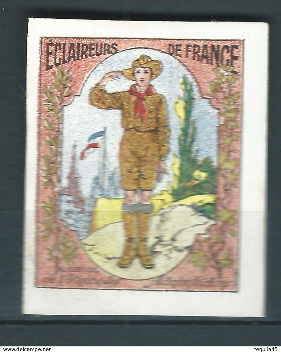 Vignette DELANDRE - France - éclaireurs De France - 1914 -18 WWI WW1 Poster Stamp - Erinnophilie