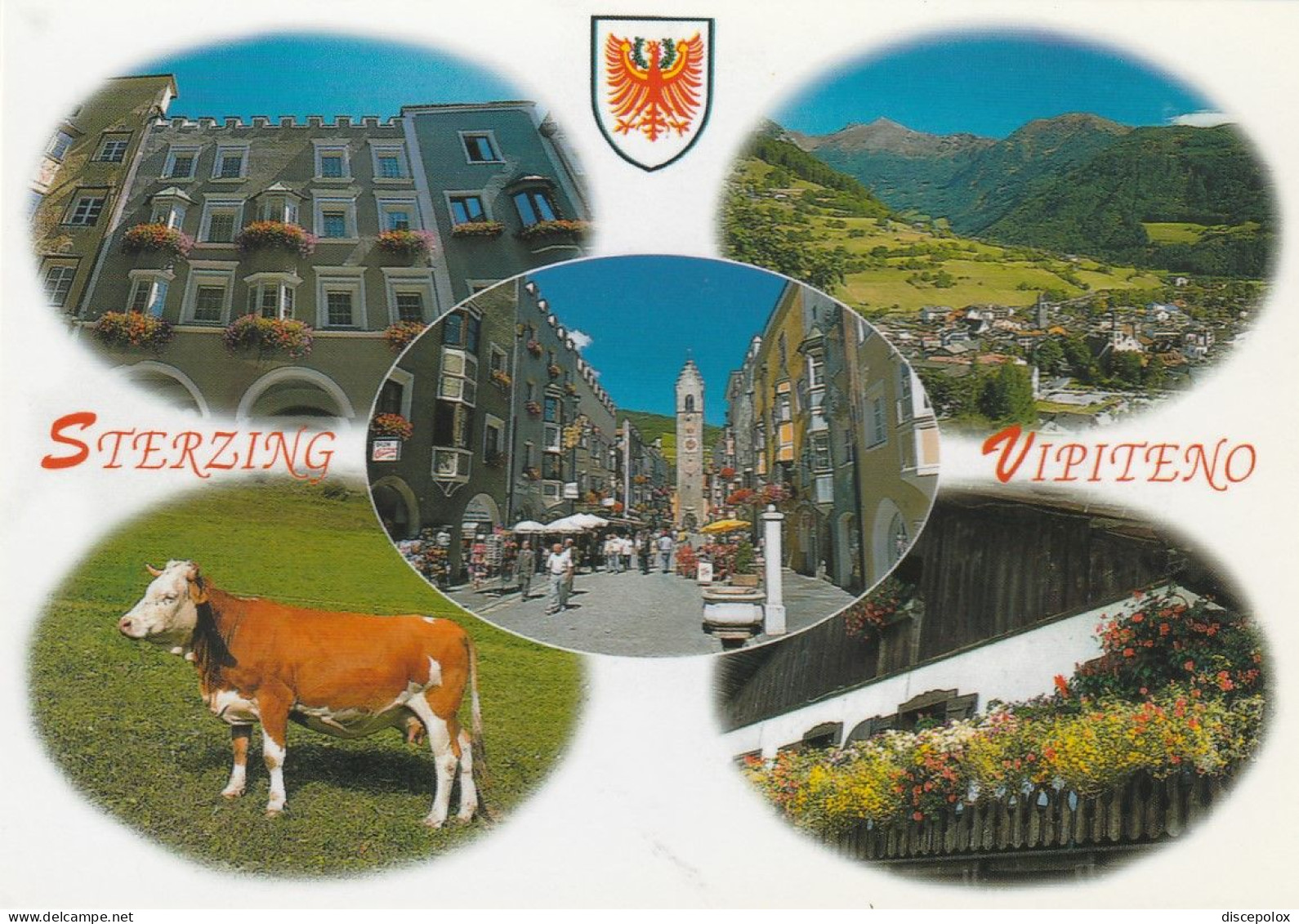 U4679 Vipiteno Sterzing (Bolzano) - Panorama Vedute Multipla - Vacca, Mucca, Cow, Koe, Vache, Vaca / Non Viaggiata - Vipiteno