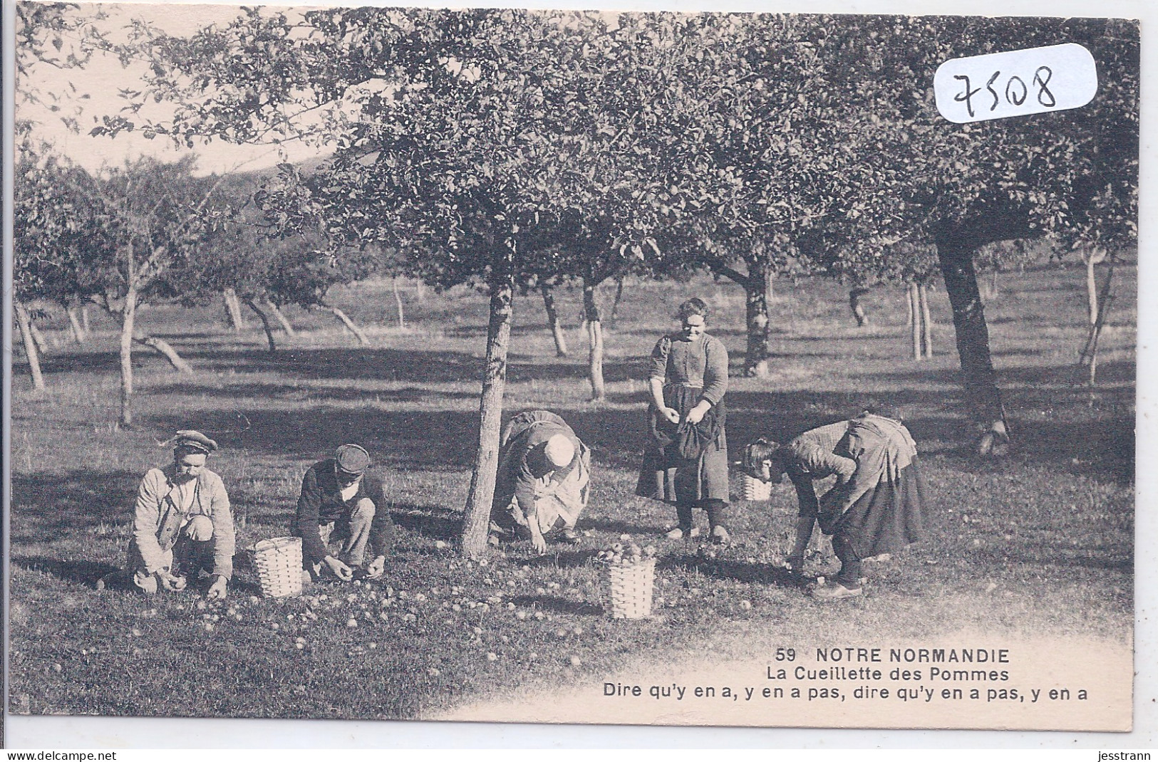 NOTRE NORMANDIE- LA CUEILLETTE DES POMMES - Basse-Normandie