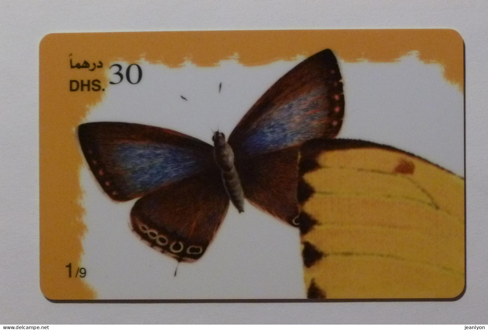 PAPILLON Avec Ailes Déployées - Butterfly - Carte Téléphone Prépayée EMIRATS ARABES UNIS / Prepaid Card ETISALAT - Vlinders