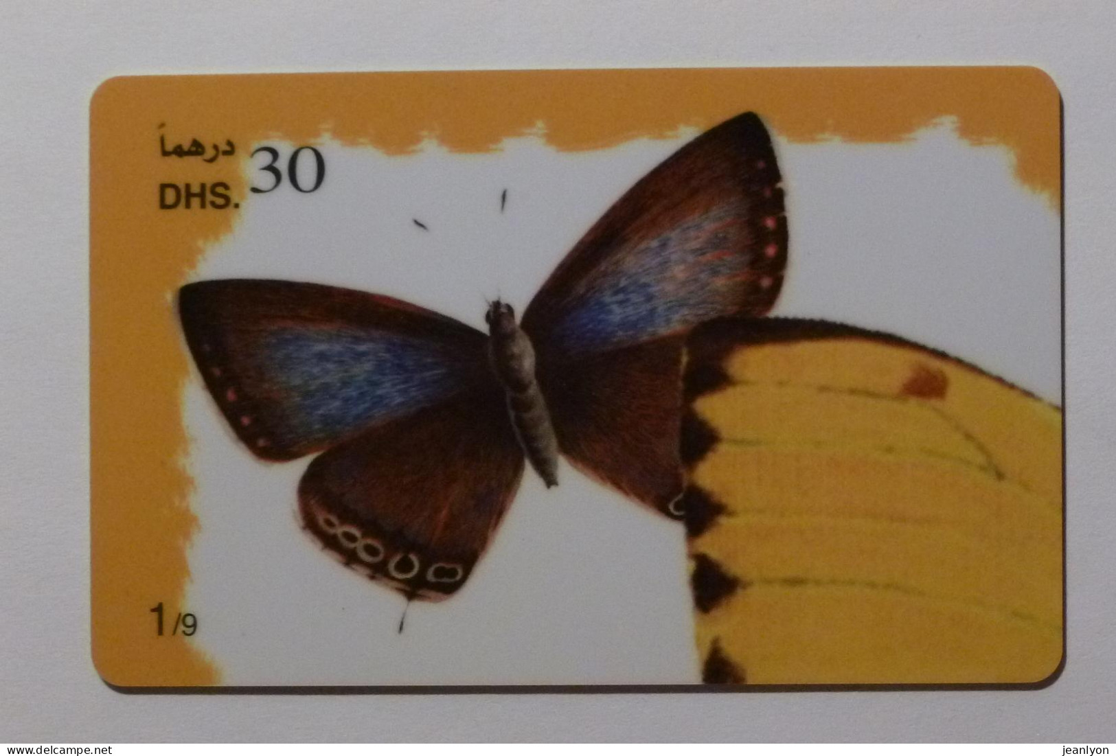 PAPILLON Avec Ailes Déployées - Butterfly - Carte Téléphone Prépayée EMIRATS ARABES UNIS / Prepaid Card ETISALAT - Mariposas