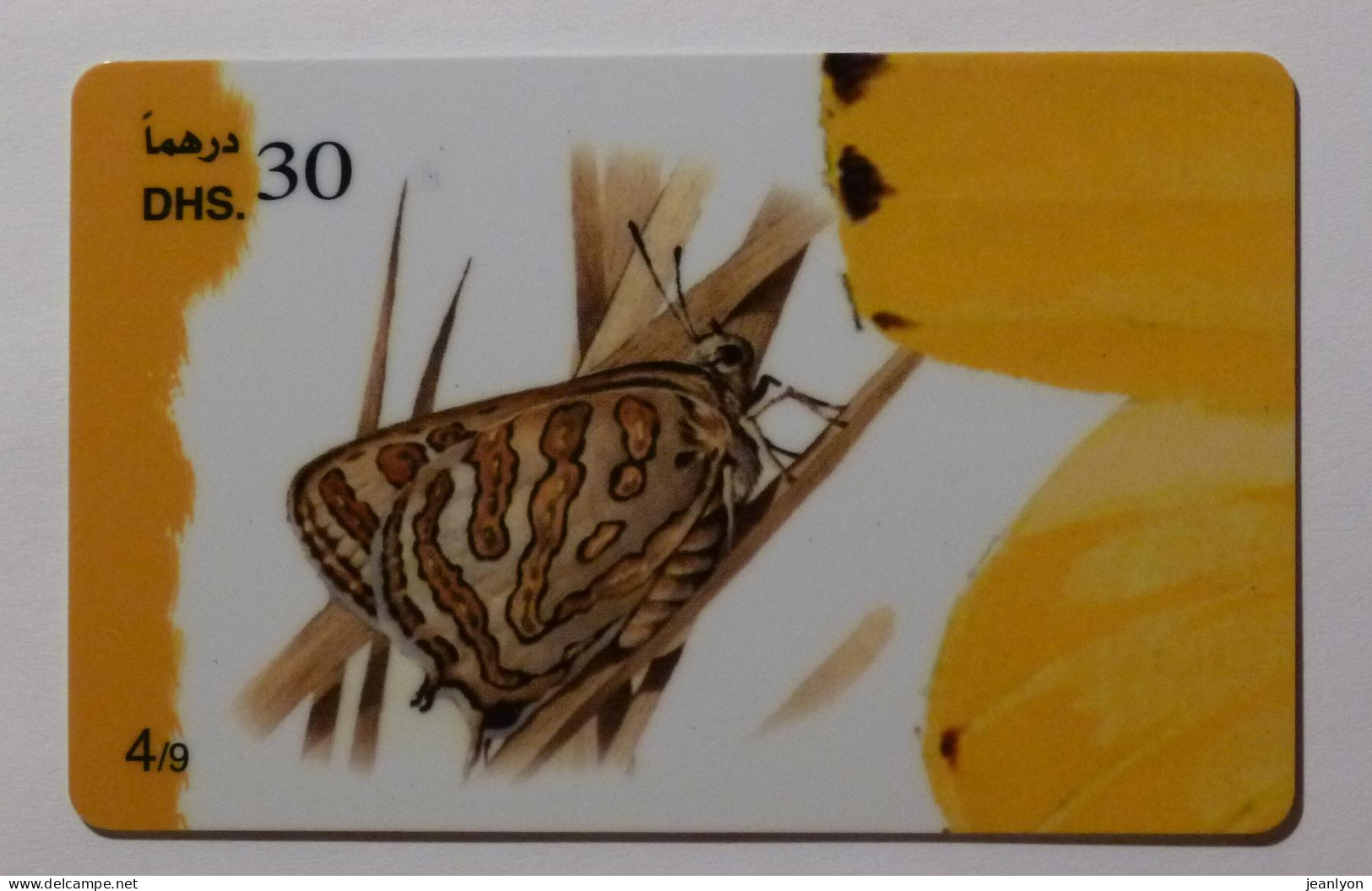 PAPILLON Avec Ailes Fermées - Butterfly - Carte Téléphone Prépayée EMIRATS ARABES UNIS / Prepaid Card ETISALAT - Butterflies