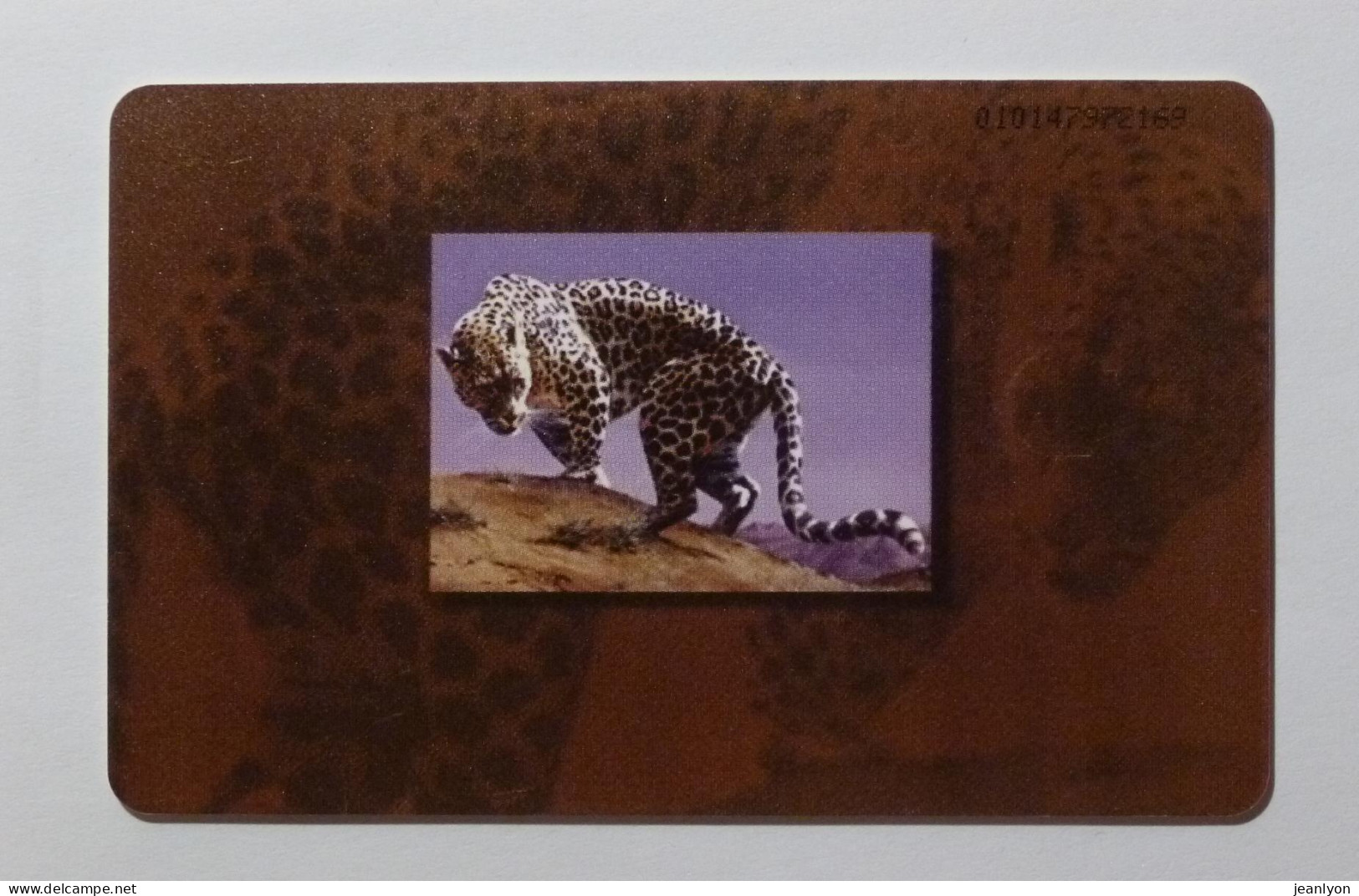 FAUNE / LEOPARD ARABE - Arabian Leopard - Carte Téléphone à Puce EMIRATS ARABES UNIS / Phonecard UAE - Jungle