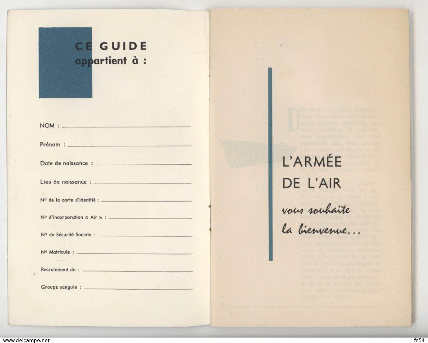 AVIATION - AVION - L'ARMEE DE L'AIR - Aviation