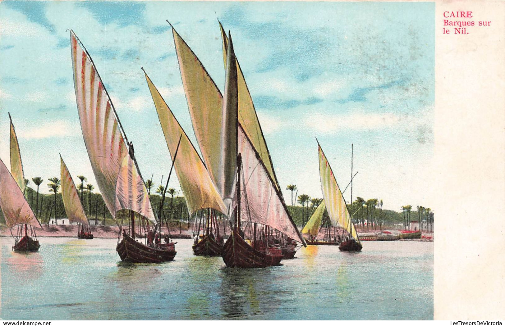EGYPTE - Caire - Barques Sur Le Nil - Palmiers  - Carte Postale - Le Caire