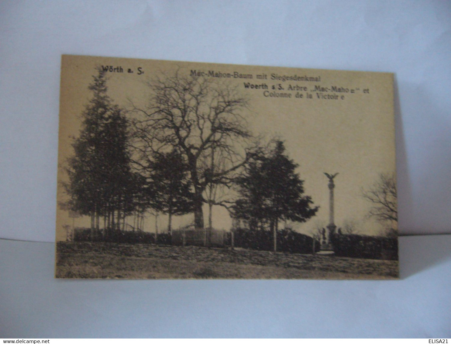 WORTH A S. MAC MAHON BAUM MIT SIEGESDENKMAL WOERTH S/S ARBRE MAC MAHO ET COLONNE DE LA VICTOIRE 67 BAS RHIN CPA - Woerth