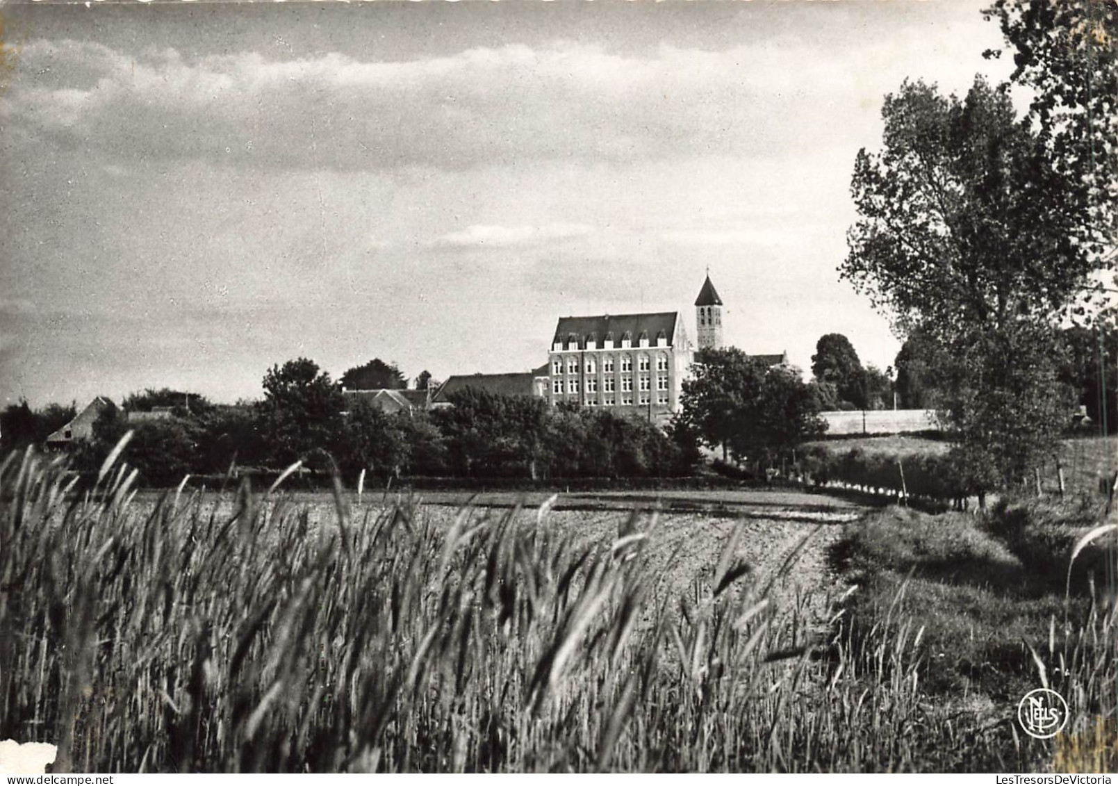 BELGIQUE - Pepingen - Heikruis - Vue Sur La Maison De Retraite - Carte Postale Ancienne - Pepingen