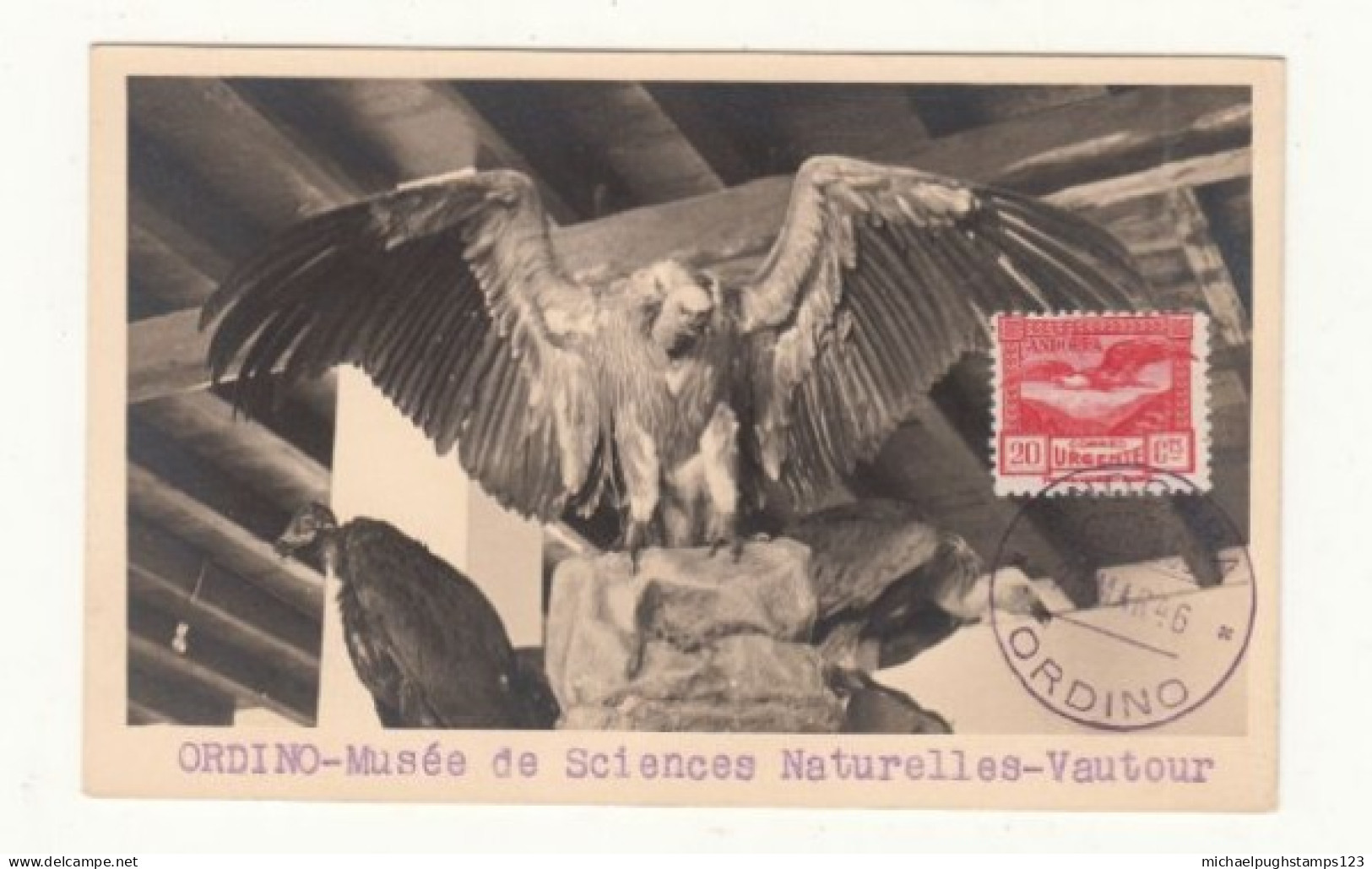 Andorra / Birds / Express Stamps / Maximum Cards - Other & Unclassified