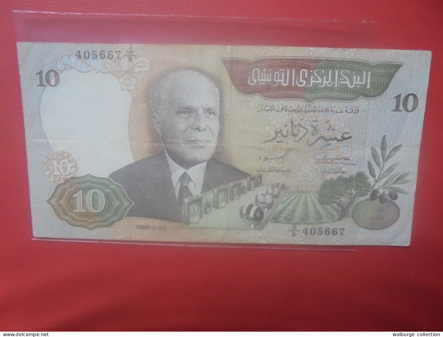 TUNISIE 10 DINARS 1986 Circuler (B.31) - Tunesien