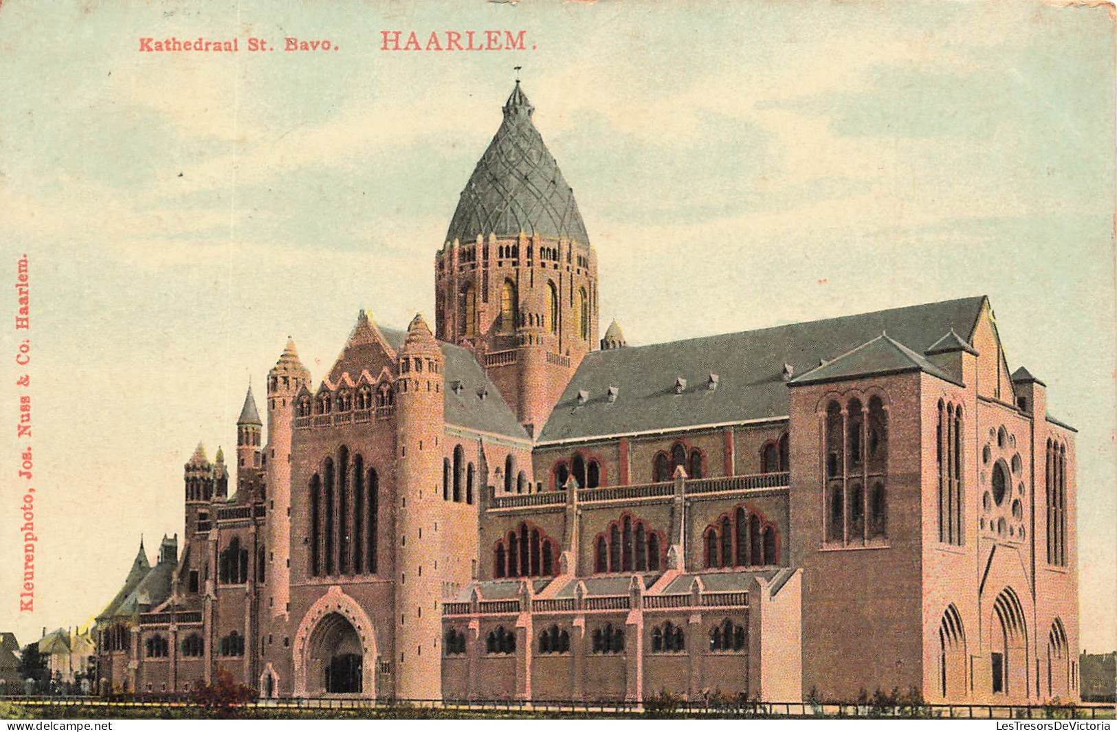 PAYS BAS - Haarlem - Kathedraal St. Bavo - Kleurenphoto - Colorisé - Carte Postale Ancienne - Haarlem