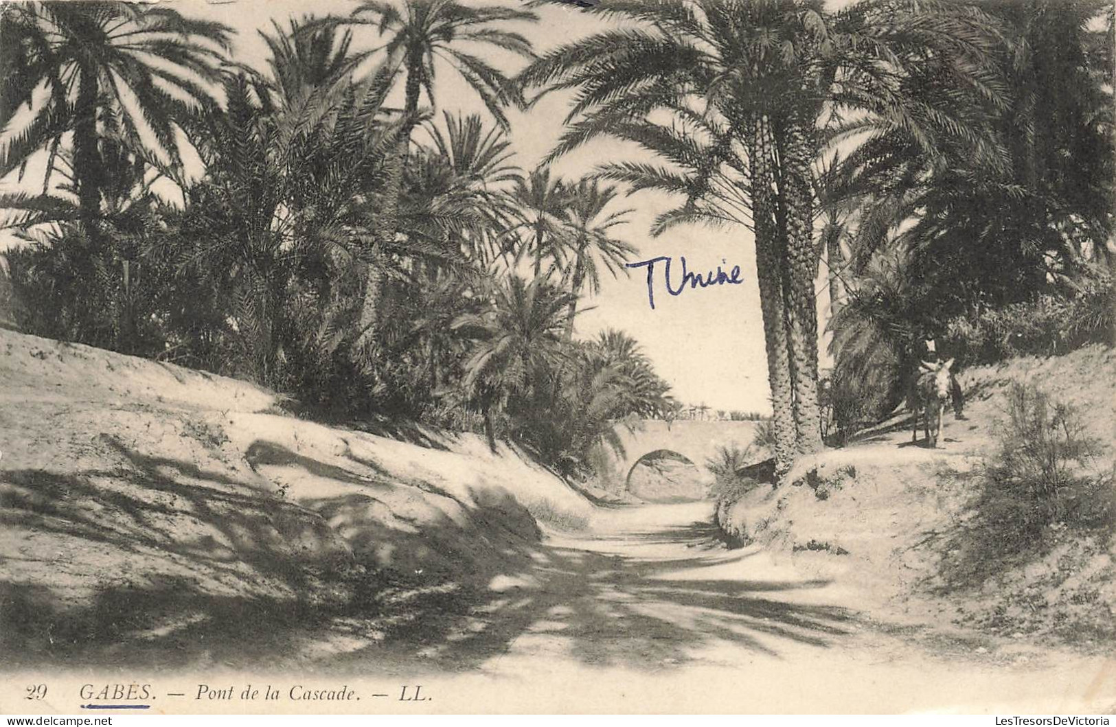 TUNISIE - Gabes - Pont De La Cascade - Carte Postale Ancienne - Tunisia