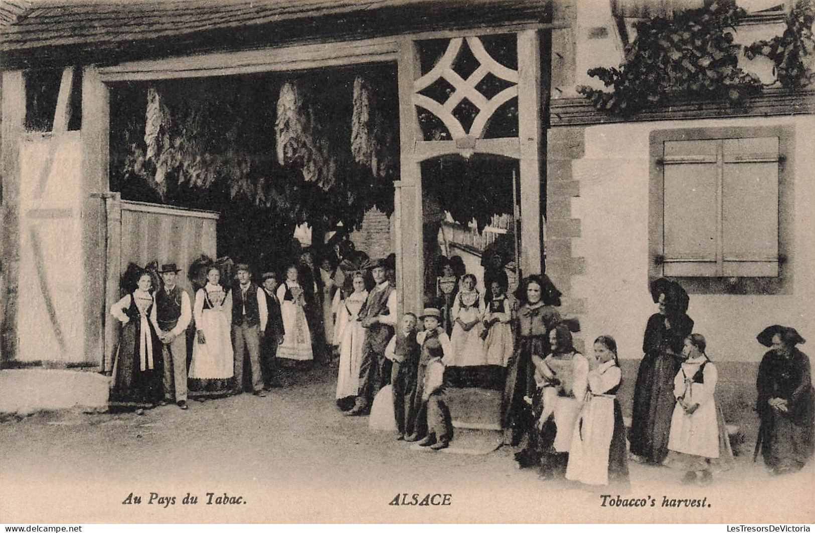 FRANCE - Alsace - Au Pays Du Tabac - Animé - Villageois En Costumes Traditionnels - Carte Postale Ancienne - Alsace