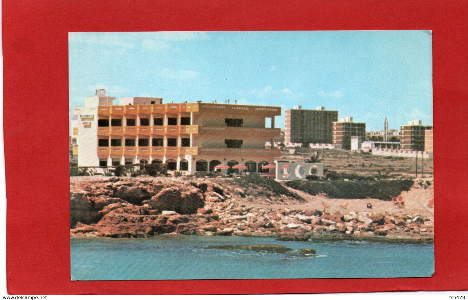 ESPAGNE---TORREVIEJA --Hôtel MARBELLA---voir 2 Scans - Alicante