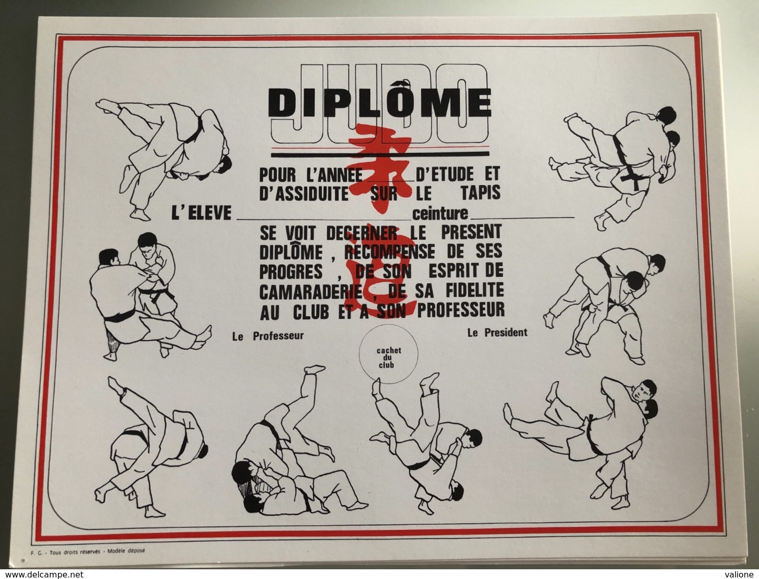 Diplôme Judo FFJDA - Kampfsport