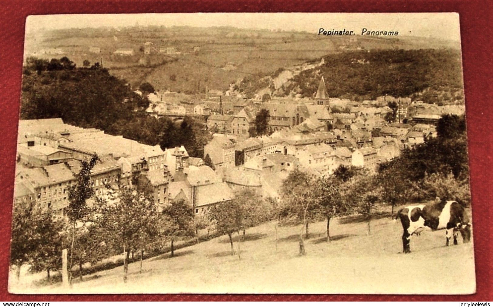 PEPINSTER  -   Panorama  -  1920 - Pepinster