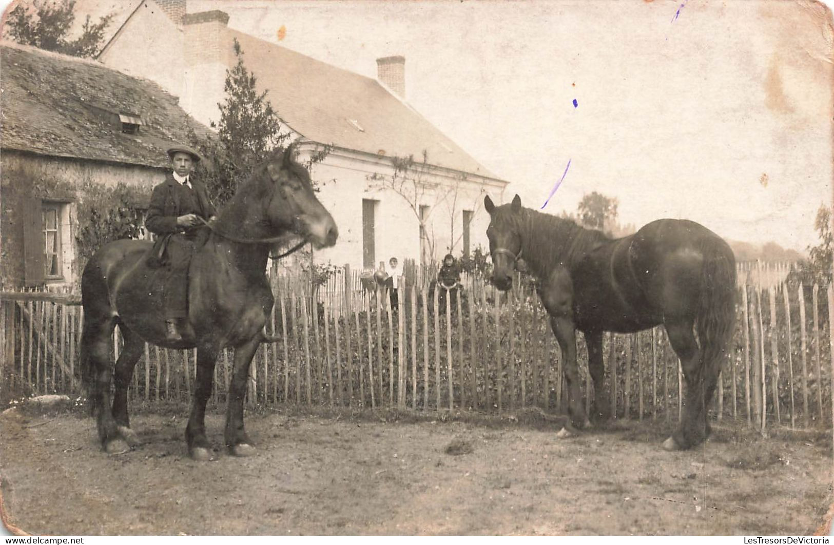 FANTAISIE - Homme - Paysan Sur Son Cheval - Chevaux - Ferme - La Flèche 3 Janvier 1915 - Carte Postale Ancienne - Männer