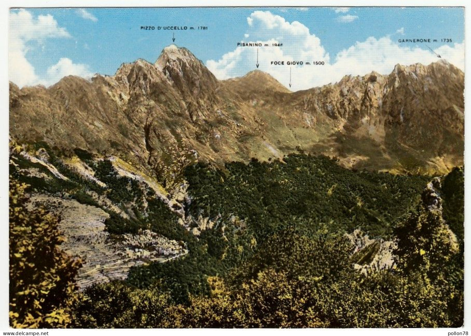 ALPI APUANE - CARRARA - PANORAMA - 1964 - Vedi Retro - Carrara