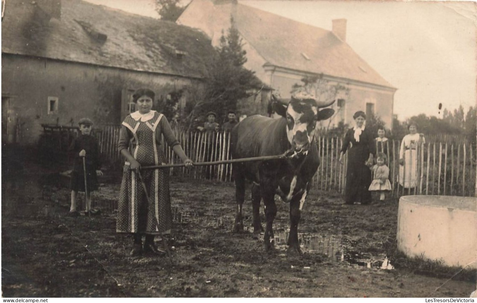 METIERS - Paysans - Paysanne Avec Sa Vache - Enfants Dans La Cour - Ferme - Carte Postale Ancienne - Bauern