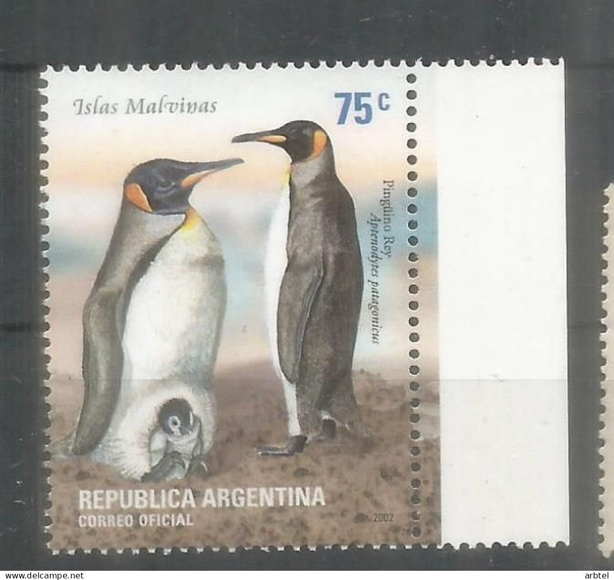 ARGENTINA ANTARTICA ANTARCTIC PINGUINO PENGUIN - Antarctic Wildlife