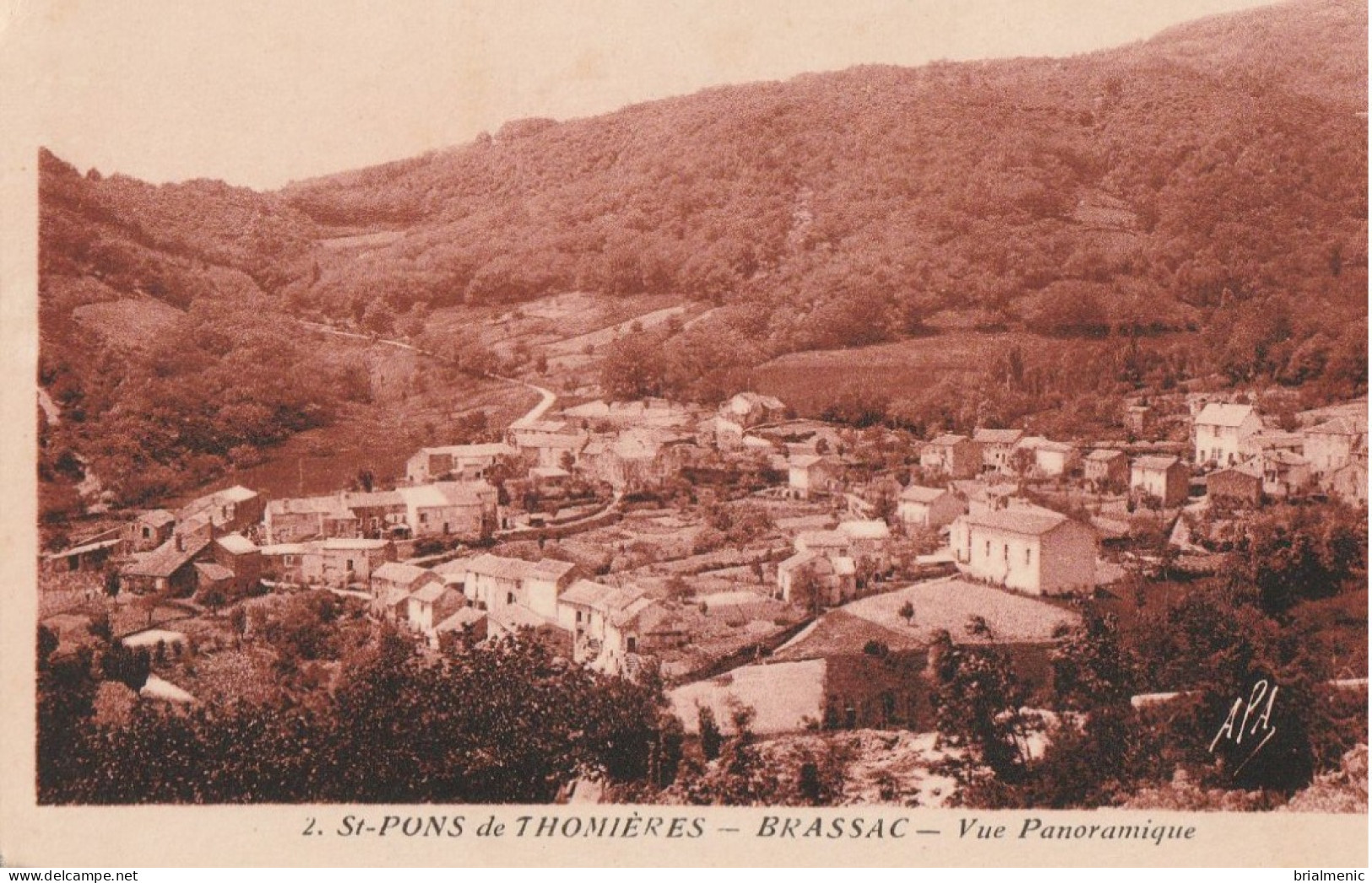 ST PONS De THOMIERES  BRASSAC  Vue Panoramique - Saint-Pons-de-Thomières