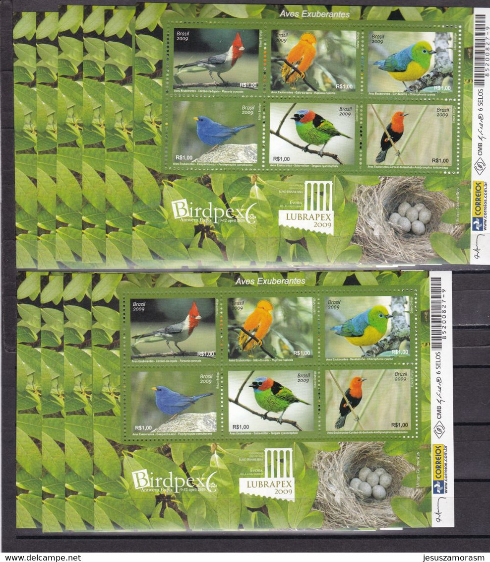 Brasil Hb 139 - 10 Hojas - Blocks & Sheetlets