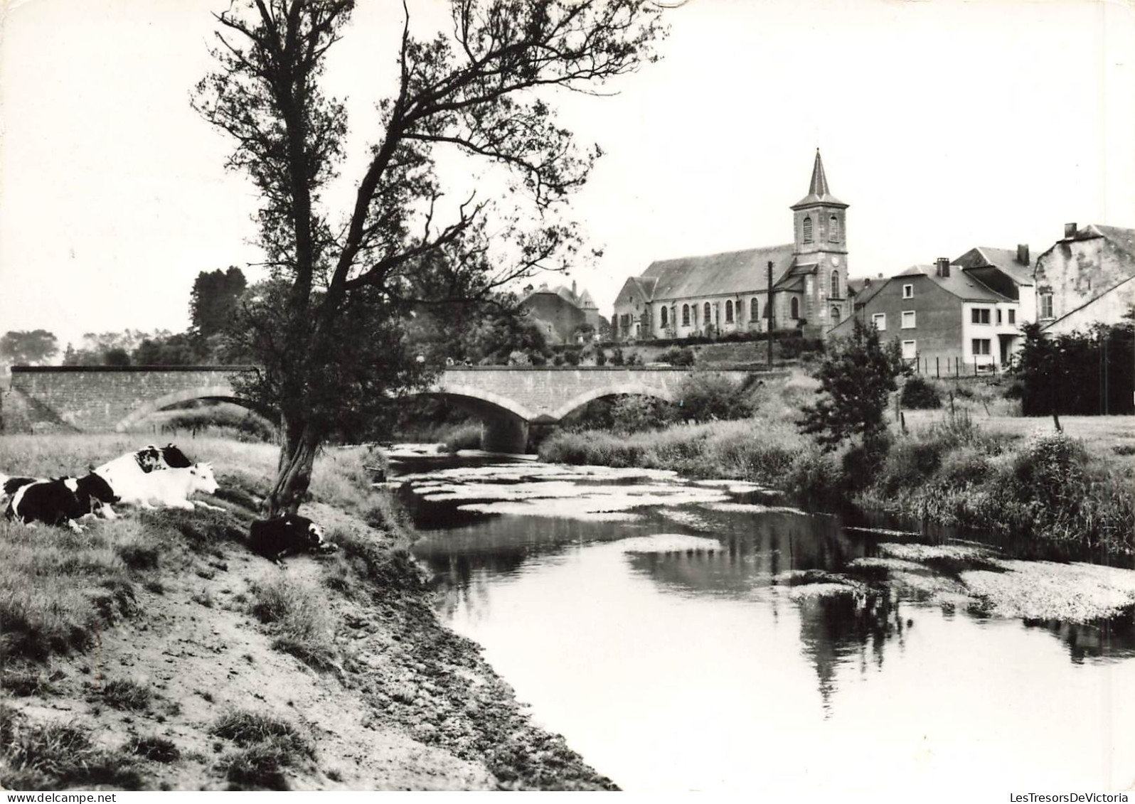 BELGIQUEl - Tintigny - Vue Sur L'église Et Le Pont Sur Le Semois - Carte Postale Ancienne - Tintigny