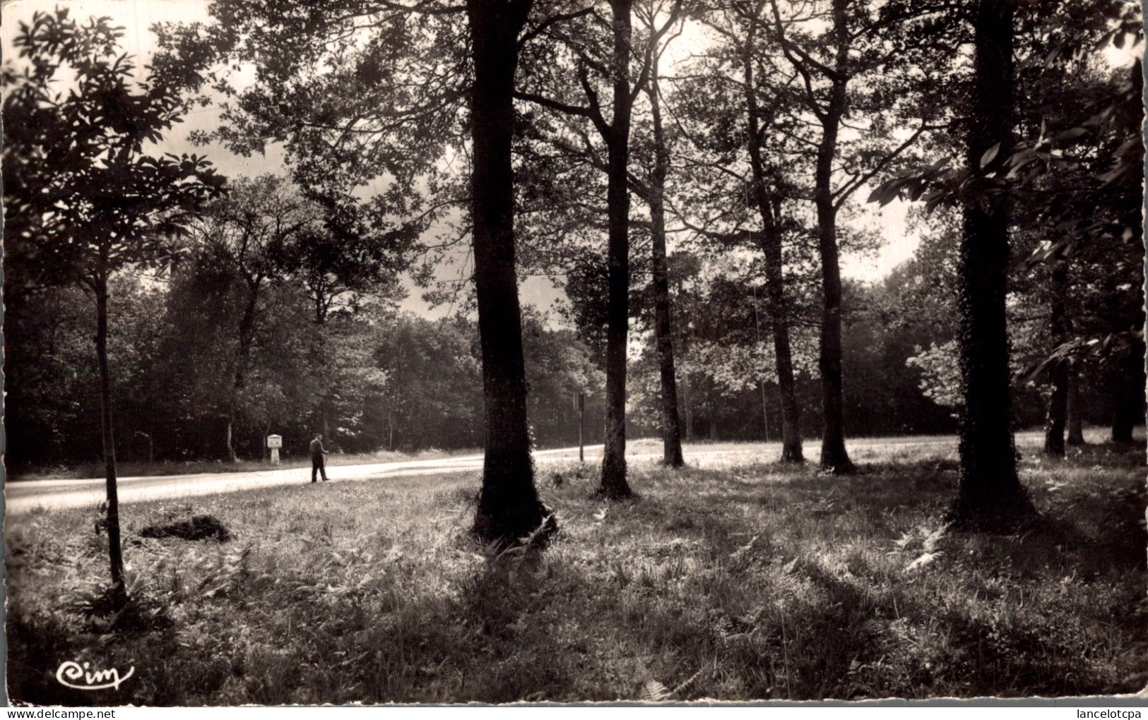 79 - LA MOTHE SAINT HERAY / LES QUATRE ROUTES EN FORET DE L'HERMITAIN - La Mothe Saint Heray