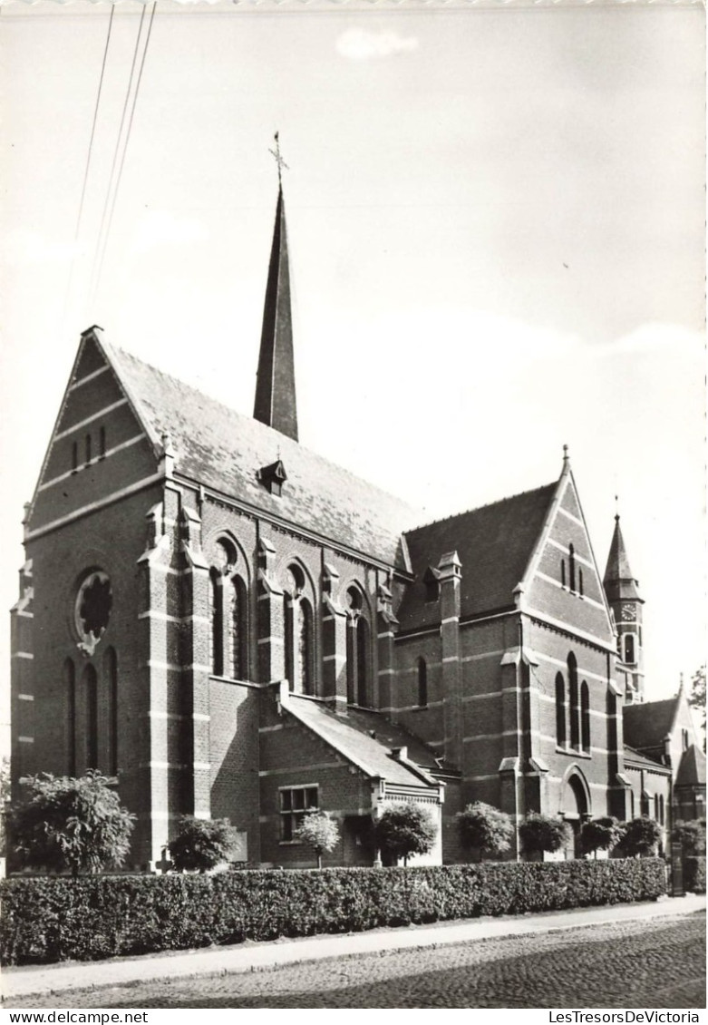BELGIQUE - Bornem - Hingene - Eglise Saint Stevens - Carte Postale Ancienne - Bornem