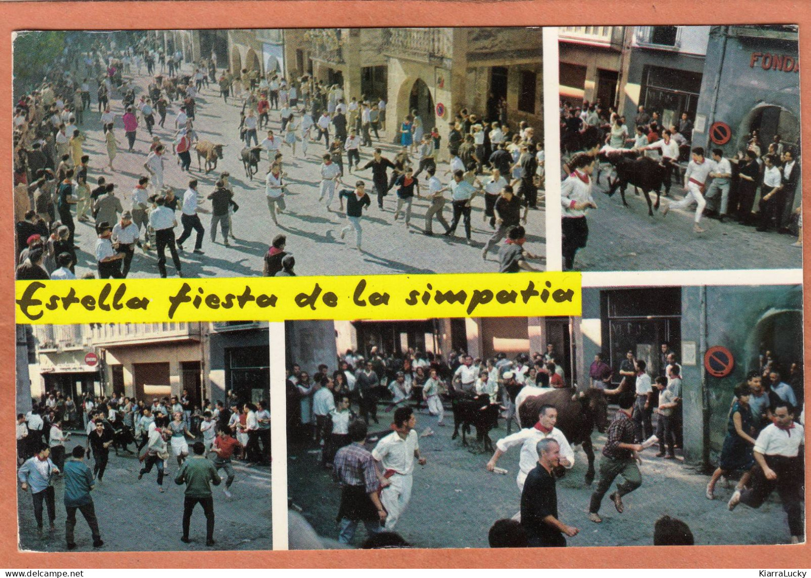 ESTELLA - NAVARRA - FIESTAS - FIESTA DE LA SIMPATIA - TAUREAUX - ECRITE - Stieren