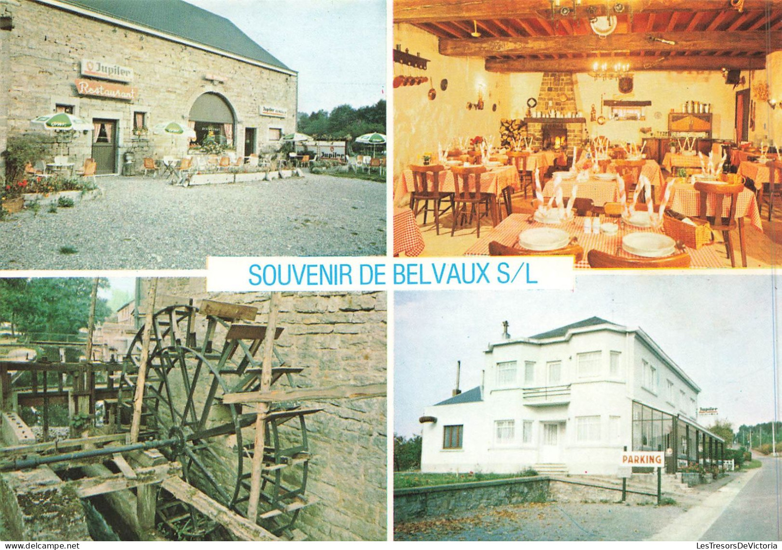 BELGIQUE - Rochefort - Belvaux - Souvenir De Belvaux - Multivues - Colorisé - Carte Postale - Rochefort