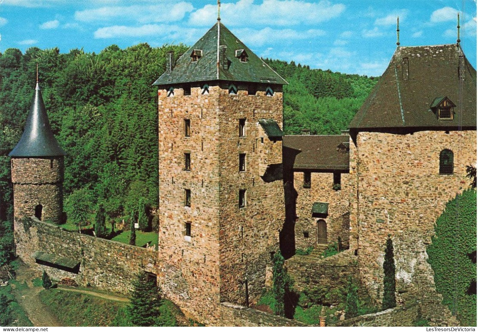 BELGIQUE - Waimes - Reinhardstein - Le Burg Metternich - Colorisé - Carte Postale - Waimes - Weismes