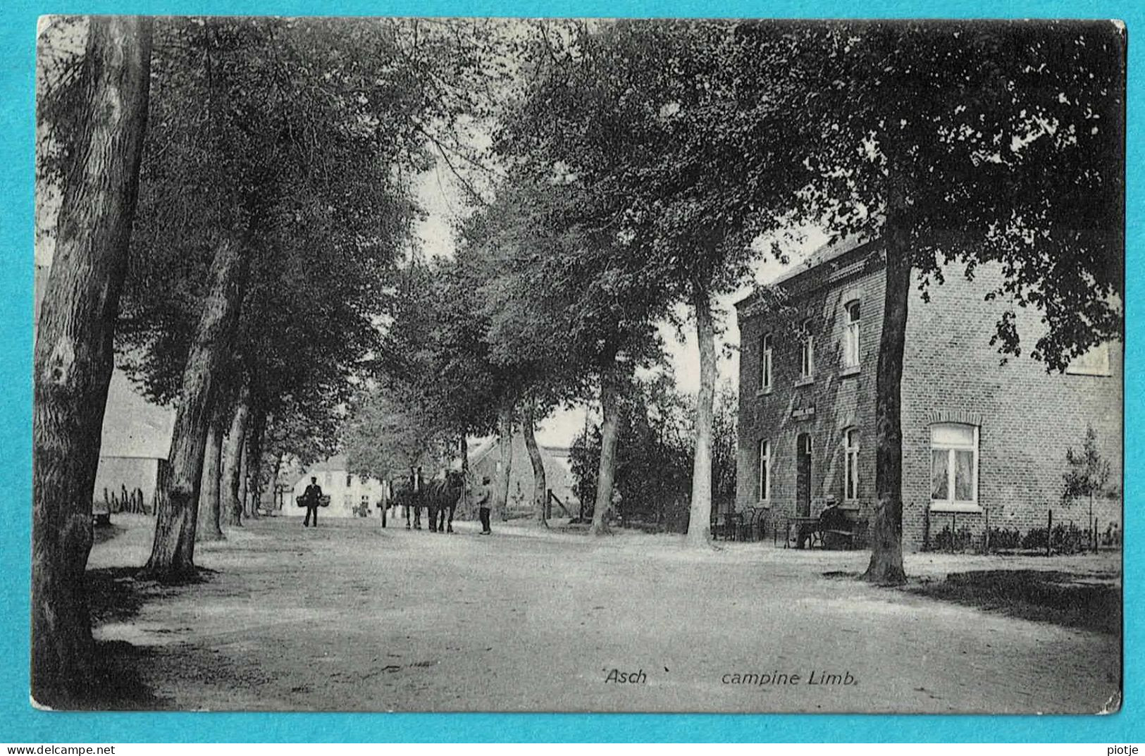 * As - Asch (Limburg) * (Hotel Du Bon Air - VI 41906 - Photo A.C. Blanckart) Campine Limb, Café, Animée, Cheval, TOP - As