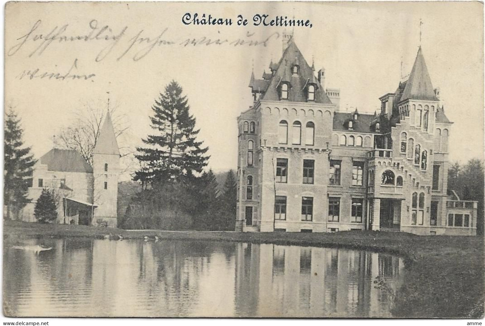 Nettinne   *  Château De Nettinne - Somme-Leuze