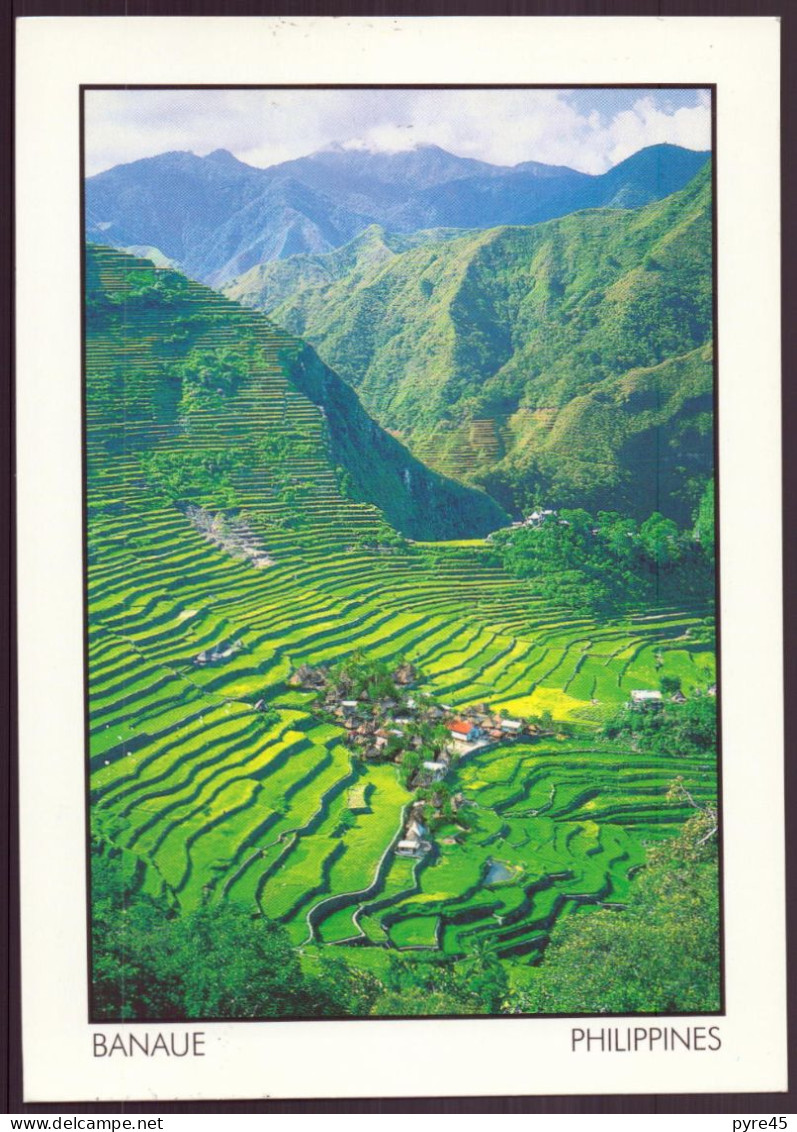 PHILIPPINES BANAUE 12 X 17 CM - Philippines