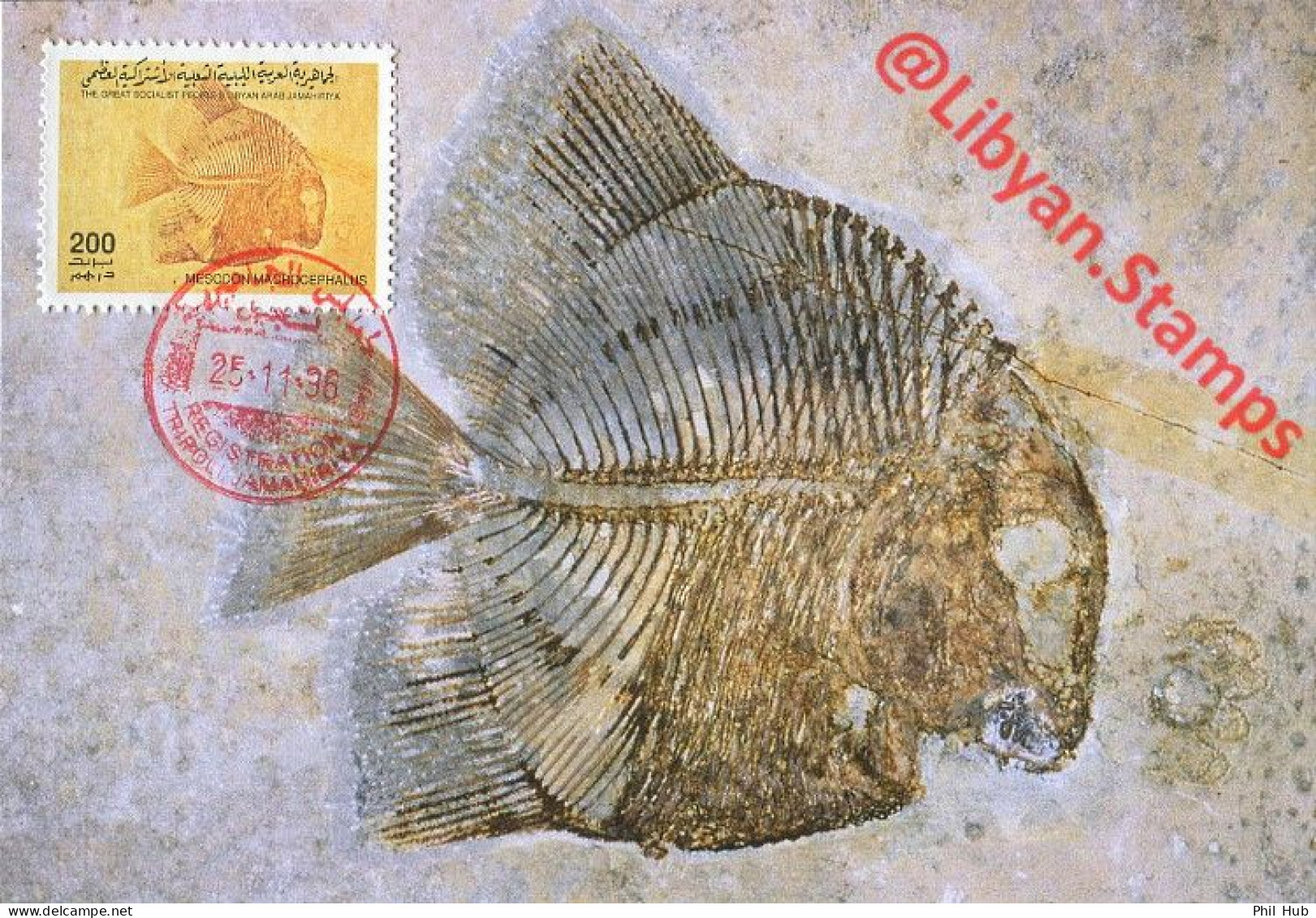 LIBYA 1996 Fossils "Mesodon Macrocephalus" (maximum-card) #2 - Fossiles