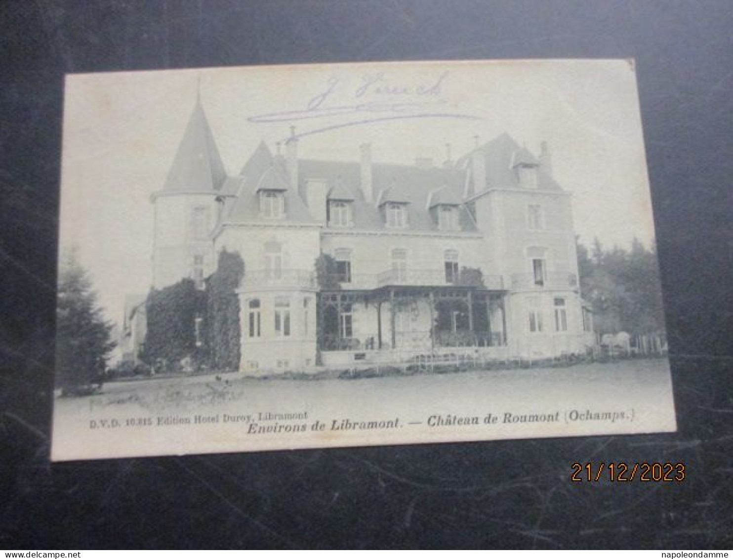 Environs De Libramont, Chateau De Roumont - Libramont-Chevigny
