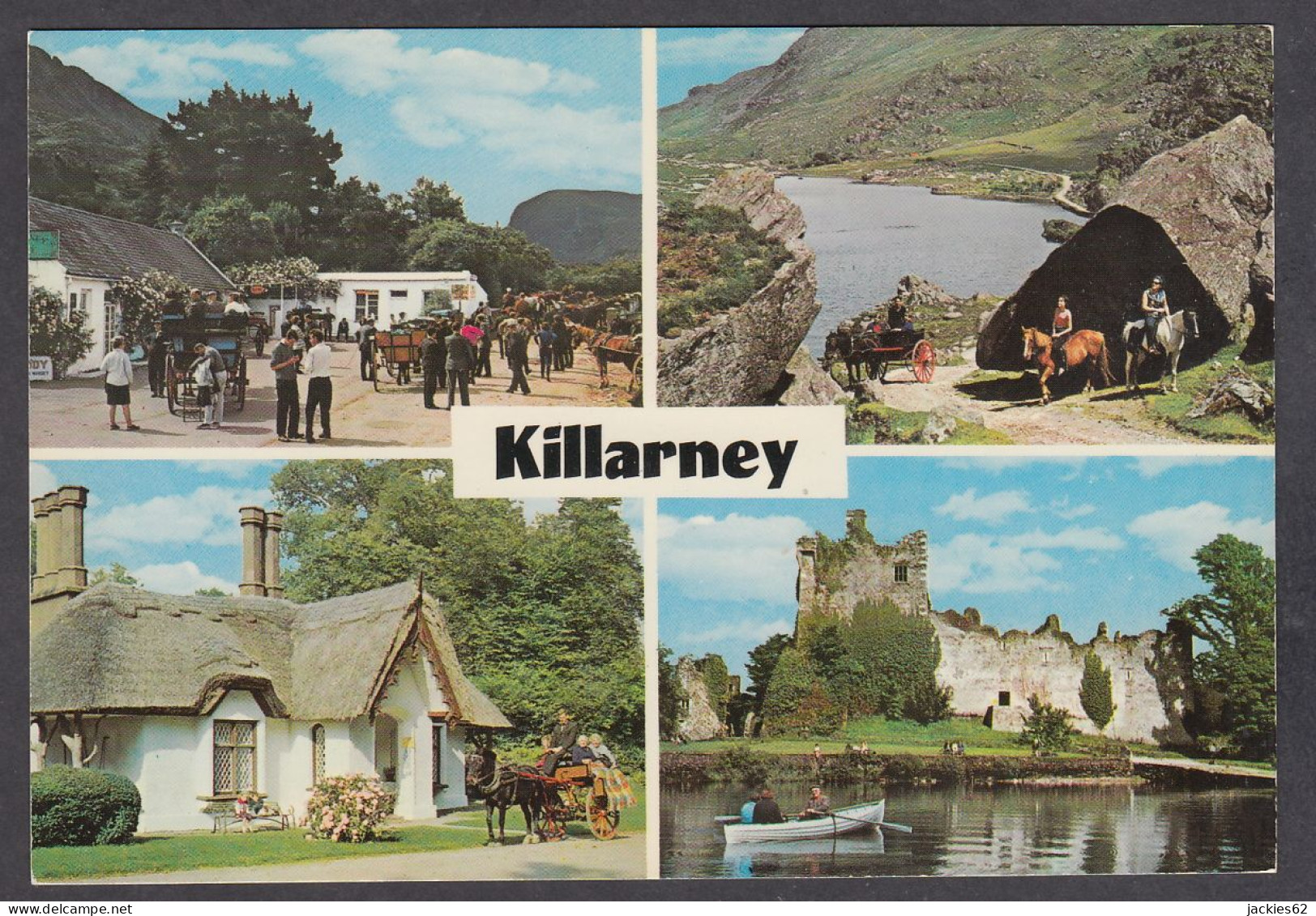 112649/ Killarney National Park - Kerry