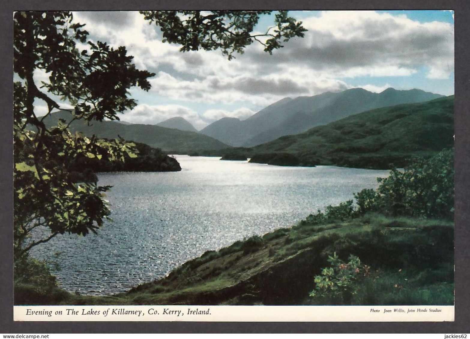 112650/ Killarney National Park, Evening On The Lakes  - Kerry