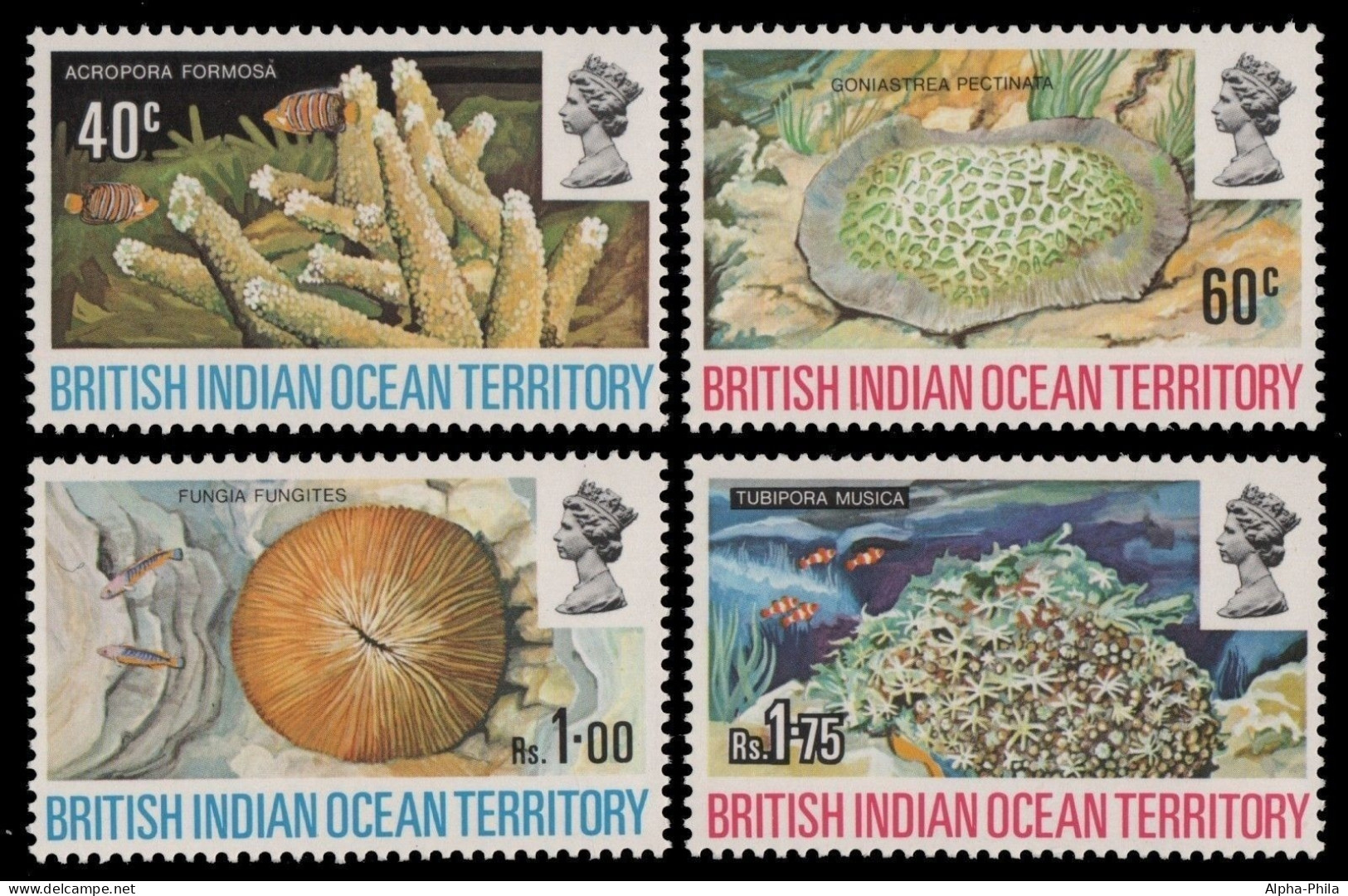 BIOT 1972 - Mi-Nr. 44-47 ** - MNH - Korallen / Corals - Territorio Británico Del Océano Índico