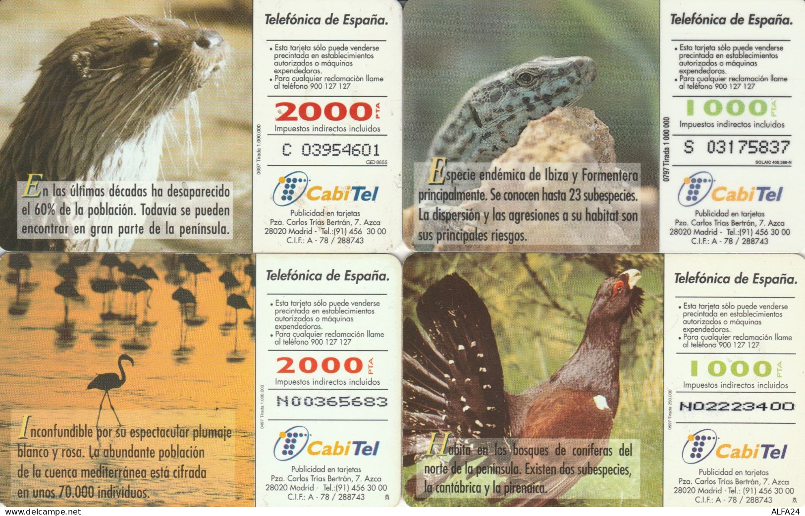 PHONE CARD 4 SPAGNA FAUNA (CK986 - Commemorative Advertisment