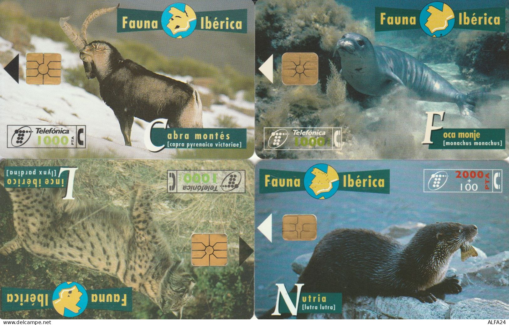 PHONE CARD 4 SPAGNA FAUNA (CK990 - Commemorative Advertisment