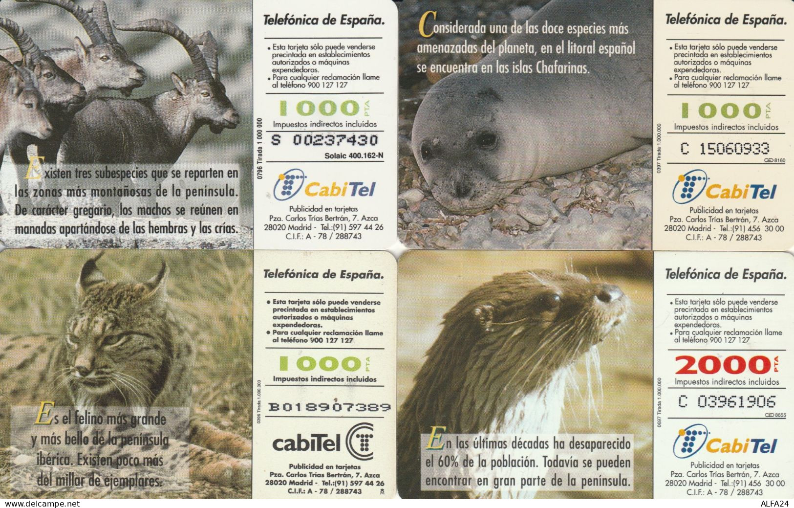 PHONE CARD 4 SPAGNA FAUNA (CK990 - Commemorative Advertisment