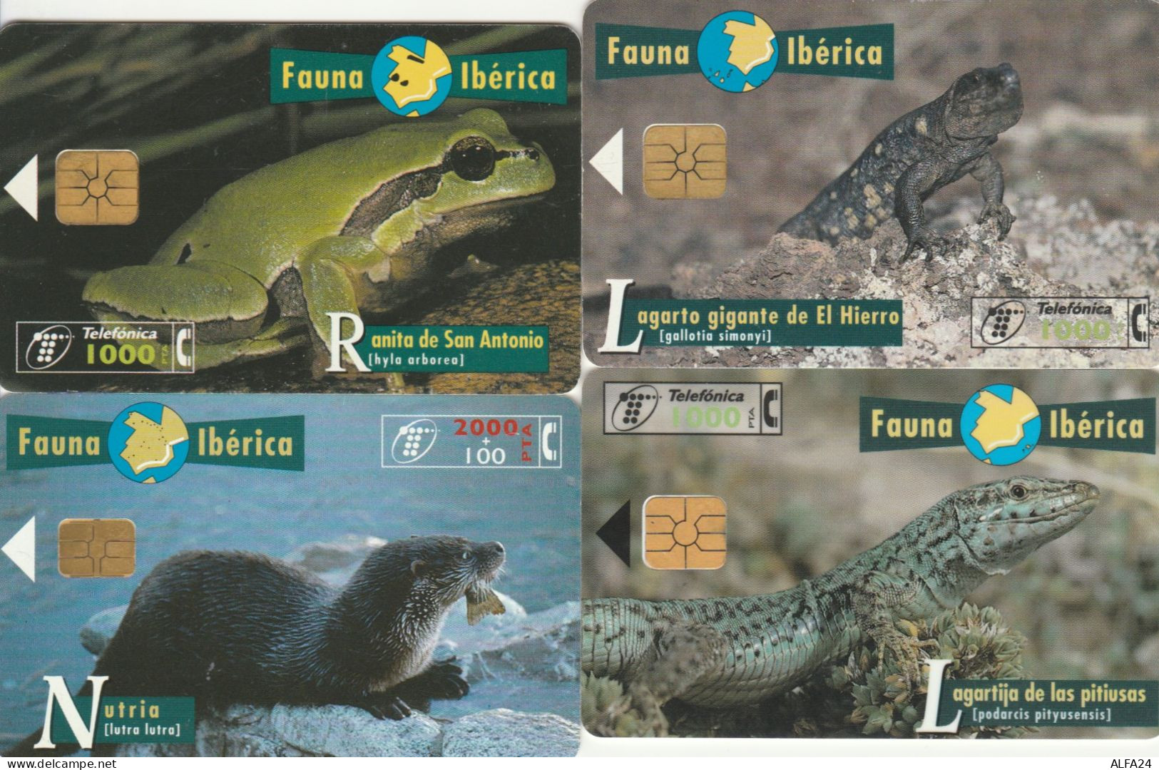 PHONE CARD 4 SPAGNA FAUNA (CK989 - Commemorative Advertisment