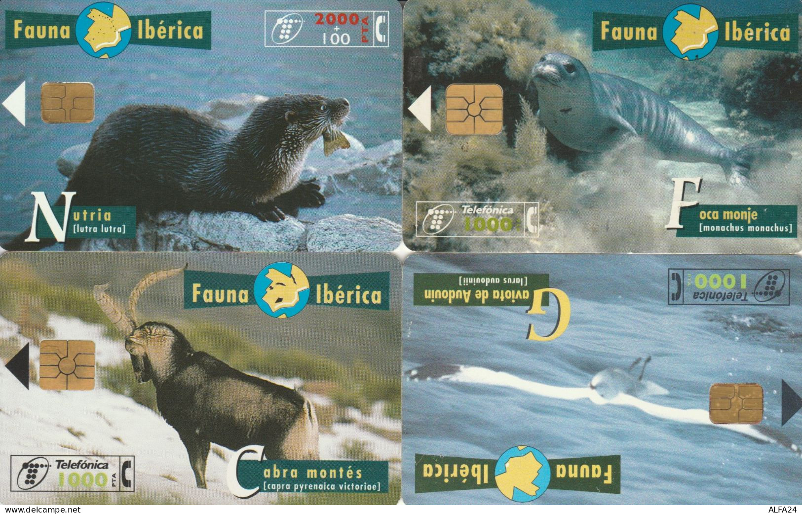 PHONE CARD 4 SPAGNA FAUNA (CK984 - Commemorative Advertisment