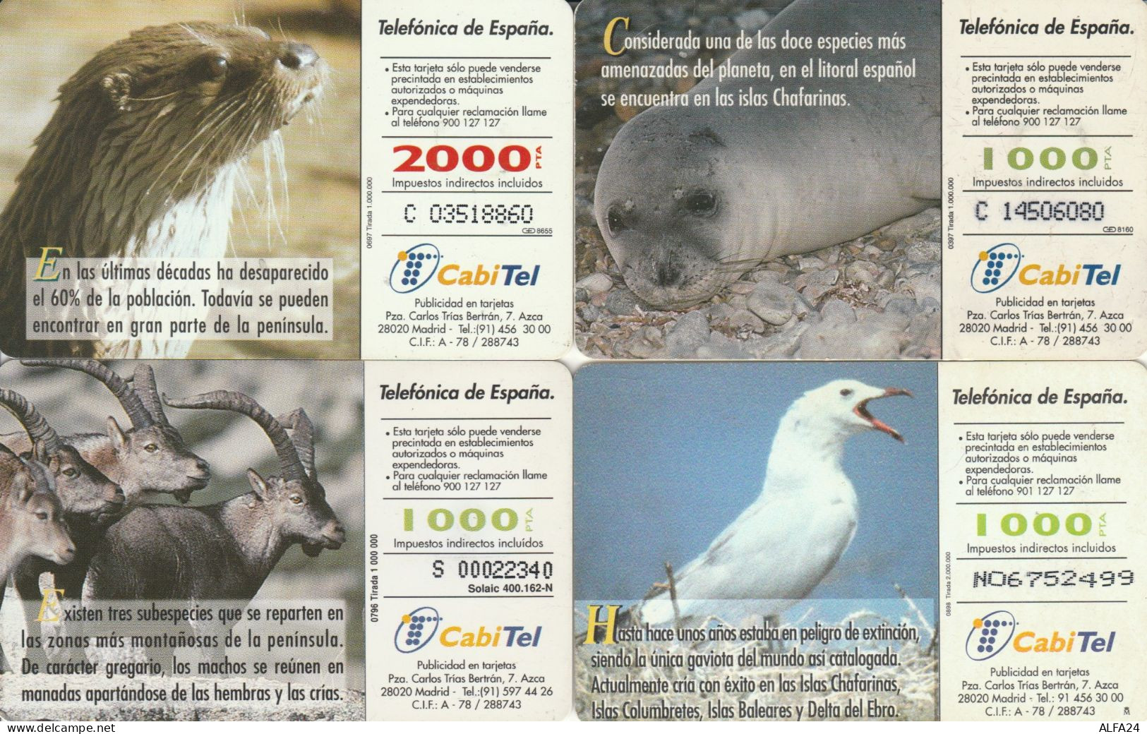 PHONE CARD 4 SPAGNA FAUNA (CK984 - Commemorative Advertisment