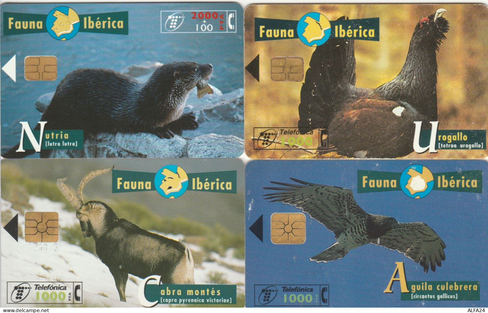 PHONE CARD 4 SPAGNA FAUNA (CK983 - Commemorative Advertisment